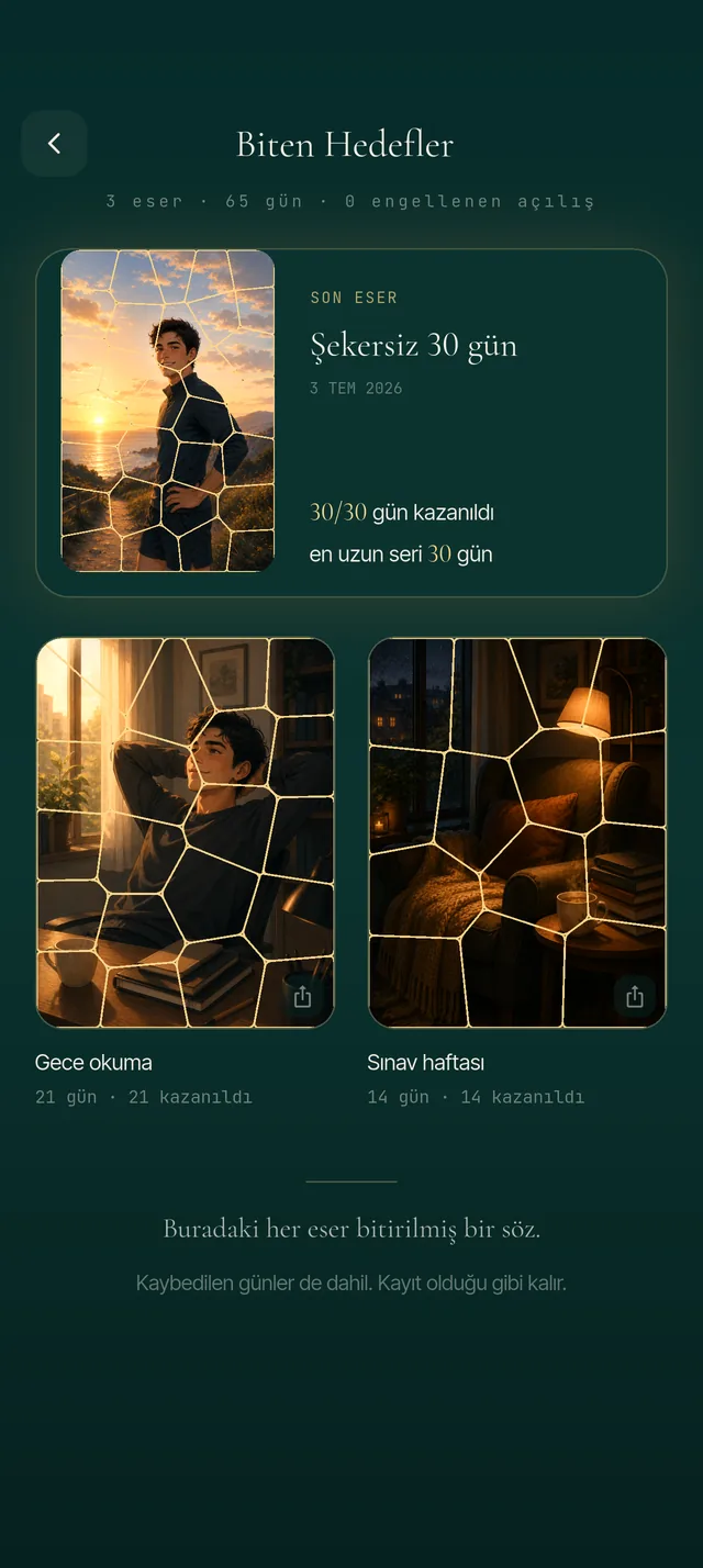 Biten hedefler arşivi: tamamlanmış görseller bir galeride listeleniyor.